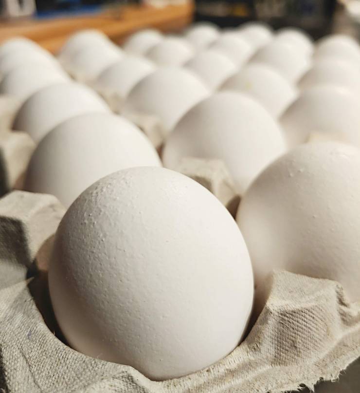 Amish Eggs